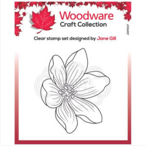 jgm007_woodware-mini-garden-spray-clear-stamp