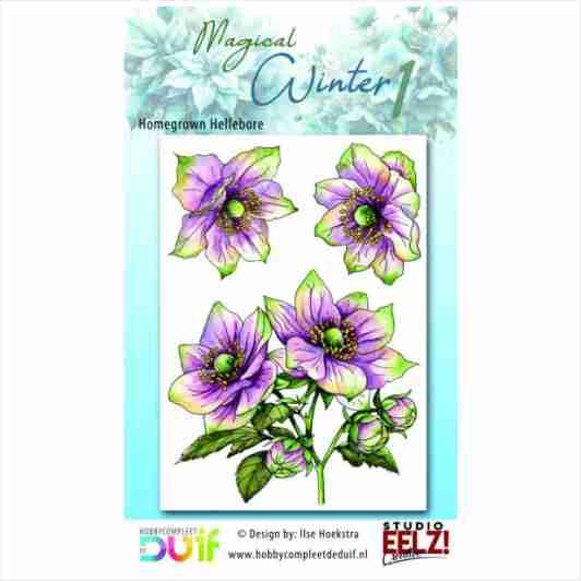 2024023_Studio-EELZ-Clear-Stamps-Magical-Winter-1-Homegrown-Hellebore